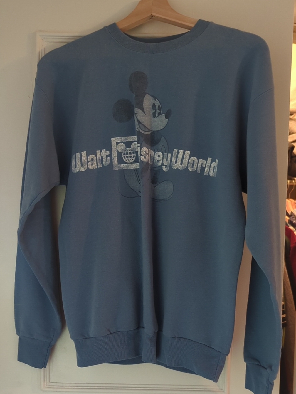 Disney Dusty Blue Walt Disney World Mickey Crewneck